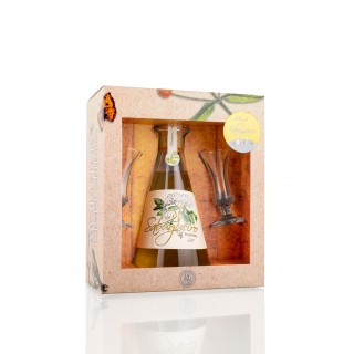 Licor Flor de Sabugueiro Licor Flor de Sabugueiro
